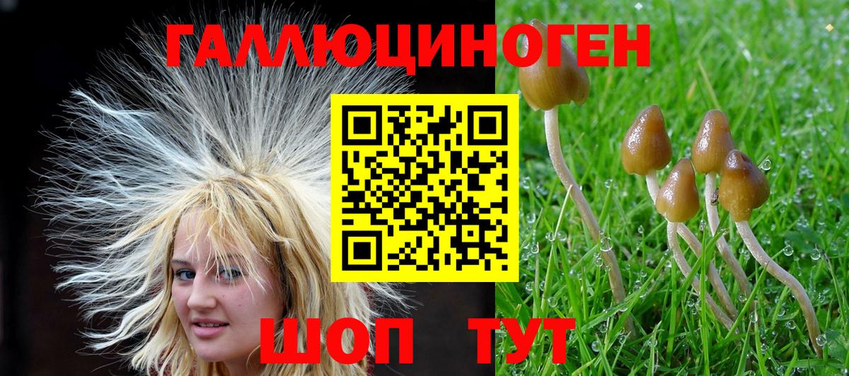 Псилоцибиновые грибы прущие грибы  Псилоцибиновые грибы Psilocybine cubensis  Борисоглебск  Вход с VPN 